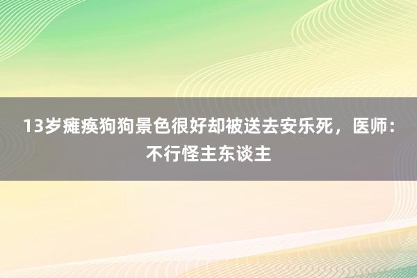 13岁瘫痪狗狗景色很好却被送去安乐死，医师：不行怪主东谈主