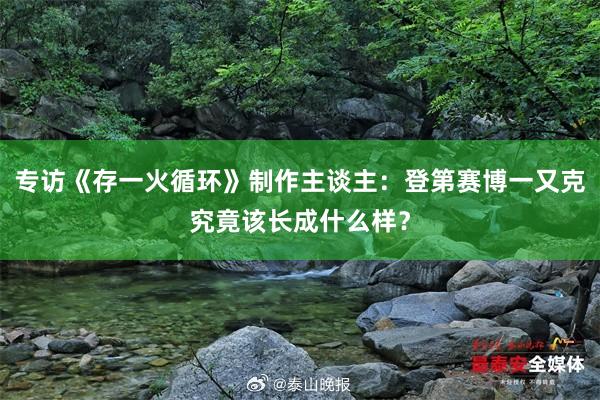 专访《存一火循环》制作主谈主：登第赛博一又克究竟该长成什么样？