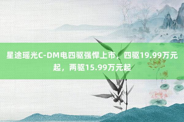 星途瑶光C-DM电四驱强悍上市，四驱19.99万元起，两驱15.99万元起