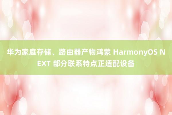 华为家庭存储、路由器产物鸿蒙 HarmonyOS NEXT 部分联系特点正适配设备