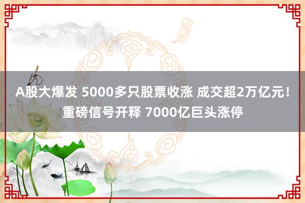 A股大爆发 5000多只股票收涨 成交超2万亿元！重磅信号开释 7000亿巨头涨停