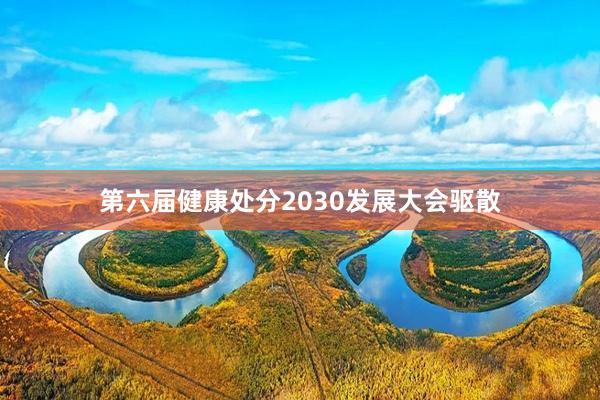 第六届健康处分2030发展大会驱散