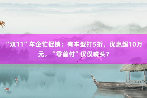 “双11”车企忙促销：有车型打5折，优惠超10万元，“零首付”仅仅噱头？